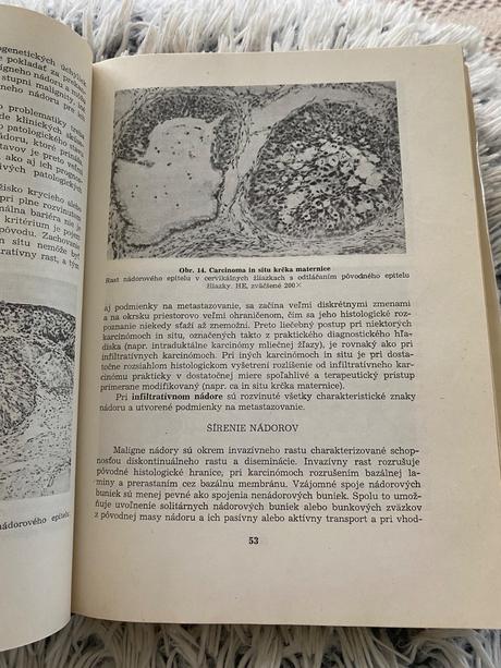 Klinická onkológia maňka ivan,