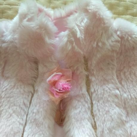 Pelerinka, disney,104