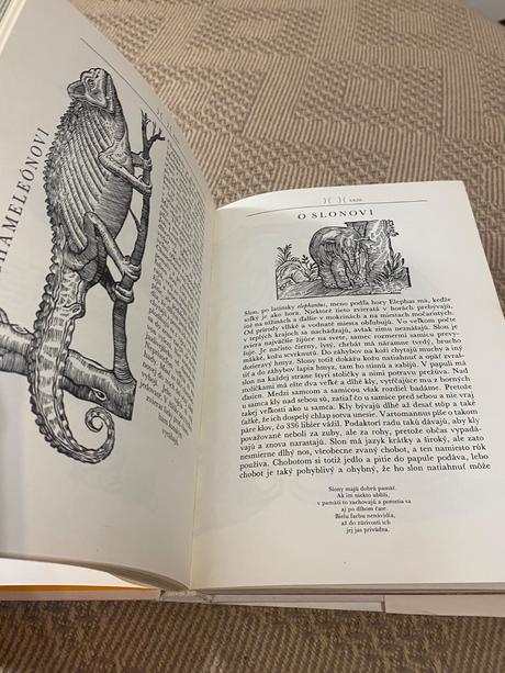 Krásna kniha o afrike safari pod kilimandžárom,