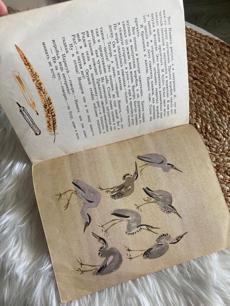 Sovietska detská kniha цапля volavka (1976),