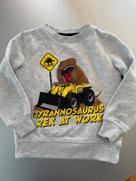 Mikina dino, dopodopo,104