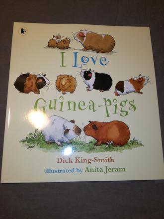 I love guinea-pigs nau22, 