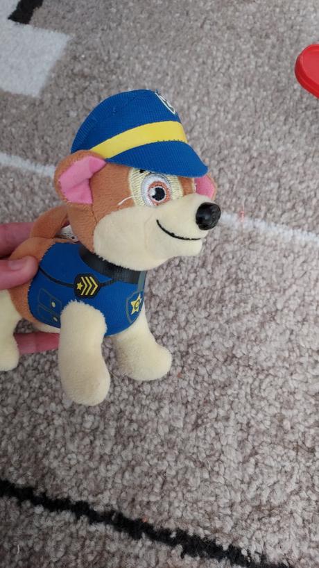 Plysak labkova patrola, 