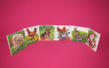 Zvieratká na dvore, 