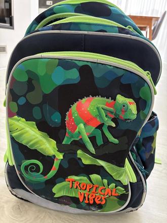 Školska taška topgal, 