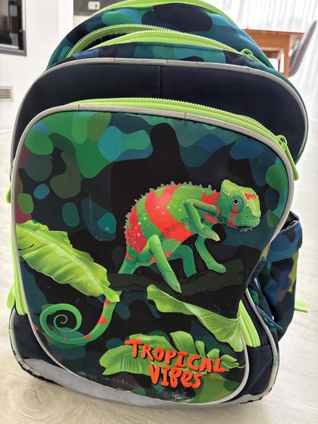 Školska taška topgal, 