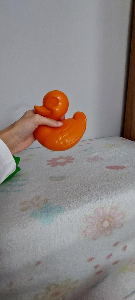 Rybka a kačička do bazéna,