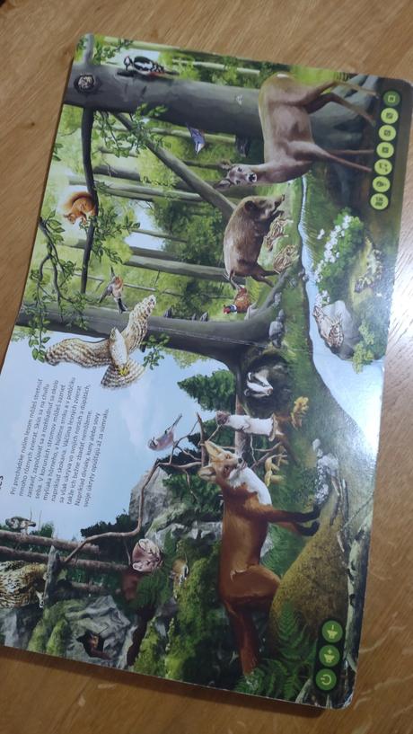 Kouzelné čítanie, 