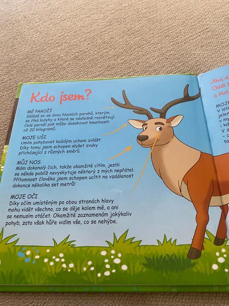 Bydlím v lese jelen,