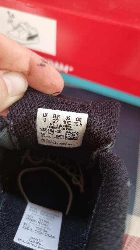 Detské puma, puma,27