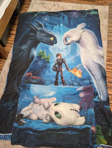 Obliečky jak vycvičiť draka, 