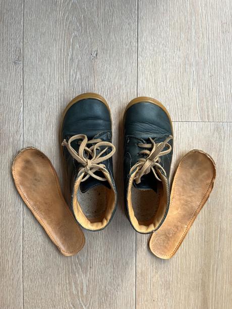 Filii gecko veľ. 28, filii,28