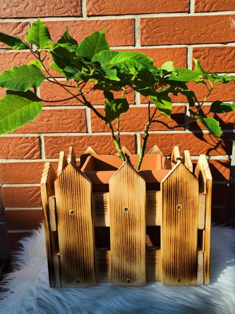 Drevený kvetináč- plotik, 