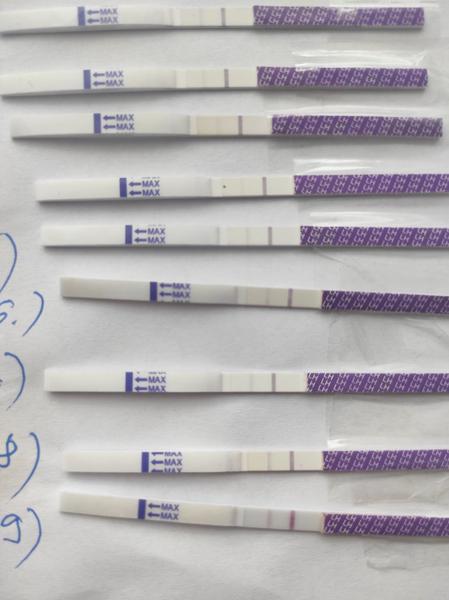 Ovulácia okolo 20. dňa