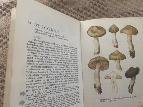 Vreckový atlas húb pilát albert, ušák otto, 