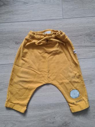 Chlapcenske nohavice, sinsay,74