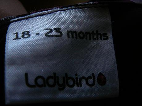 Dievčenské šaty, ladybird,92