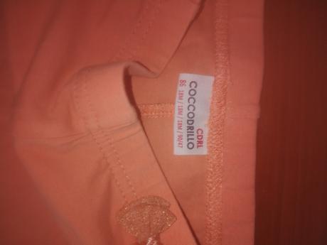 Leginy, coccodrillo,86