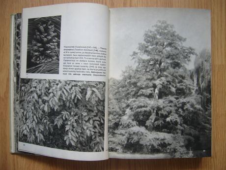 Veľký obrazový atlas rastlín - f.a.novák,