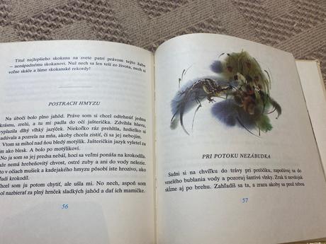 Stará kniha kuchta ladislav biely zvonček 1980,