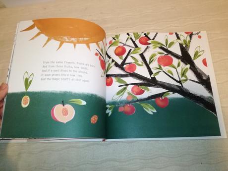 Lemniscates the magic garden  nau20, 