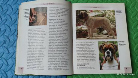 Dogue de bordeax dog guide,