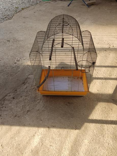 Klietka na papagáje, 