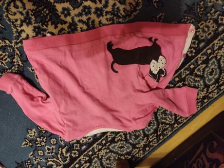 Svetrík so psikom, h&m,68