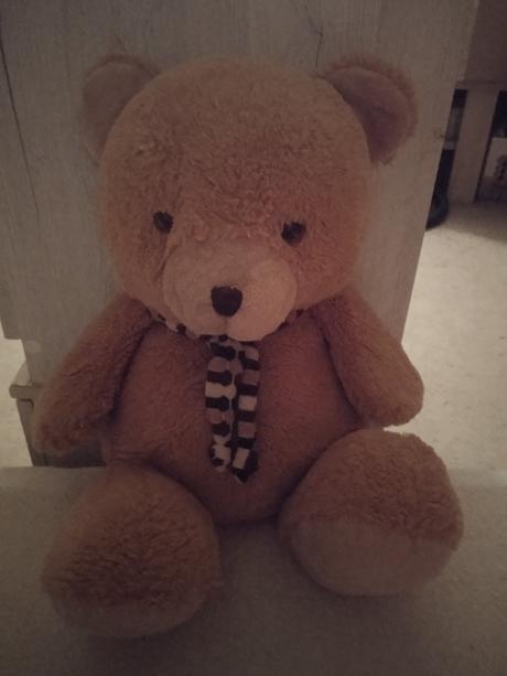 Plyšový medvedík, 