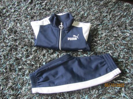 Suprava puma, puma,68