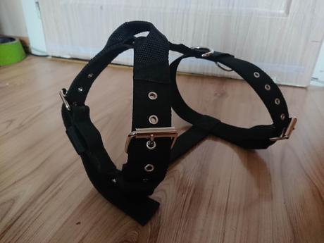 Postroj pre silné plemená l,