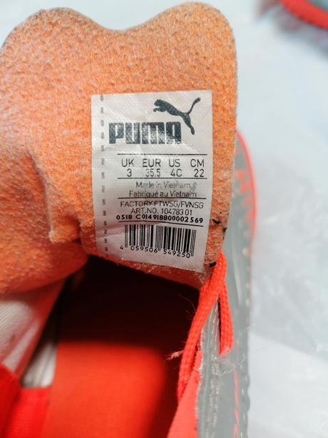 Halový puma, puma,35