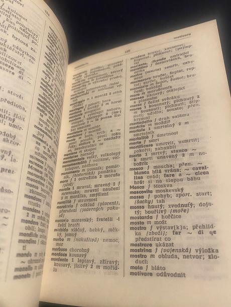 Italsko-český a česko-italský kapesní slovník, 