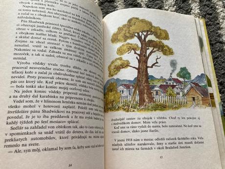 Darebáčik prvé vydanie 1987,
