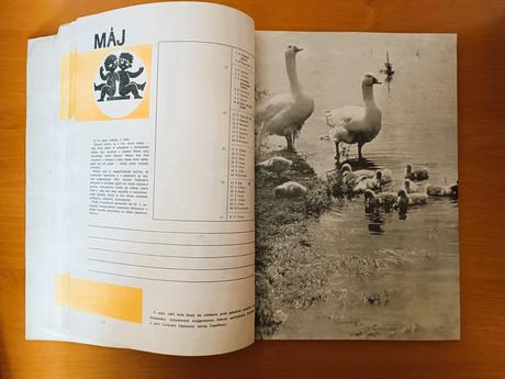 Družstevný kalendár 1971, 