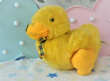 Plyšová kačička,