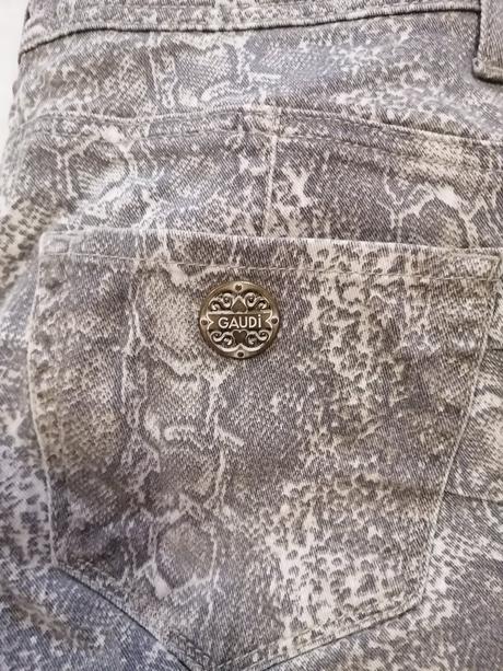 Gaudi rifle s, gaudi,s