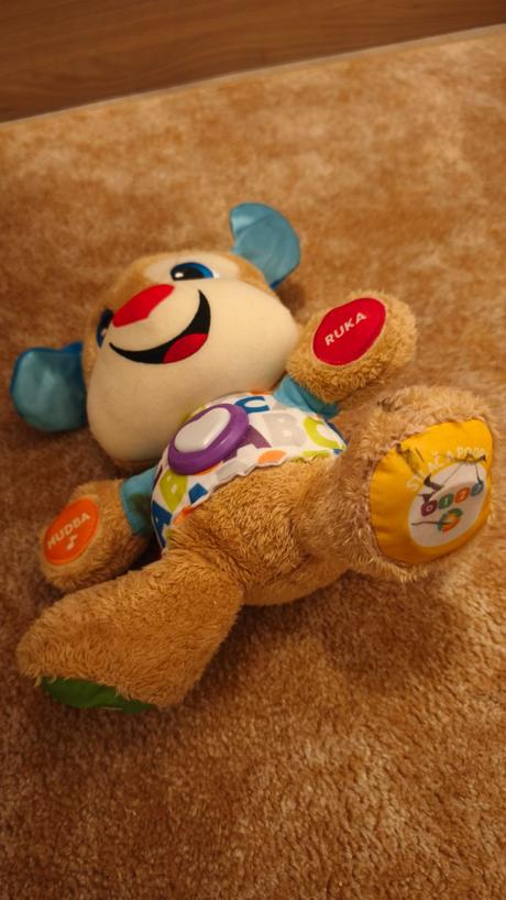 Interaktívny havko, 