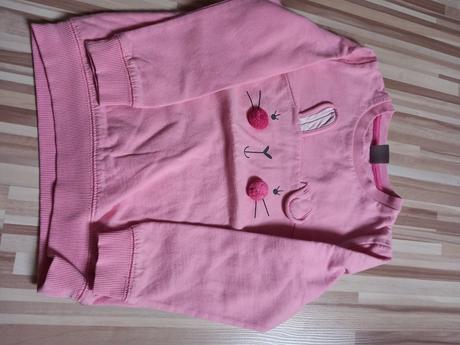 Dievcenske mikiny, 116