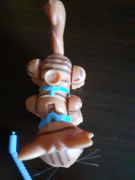 Mačiatko na kolieskach,