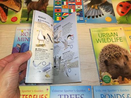 Usborne spotter's guides, 