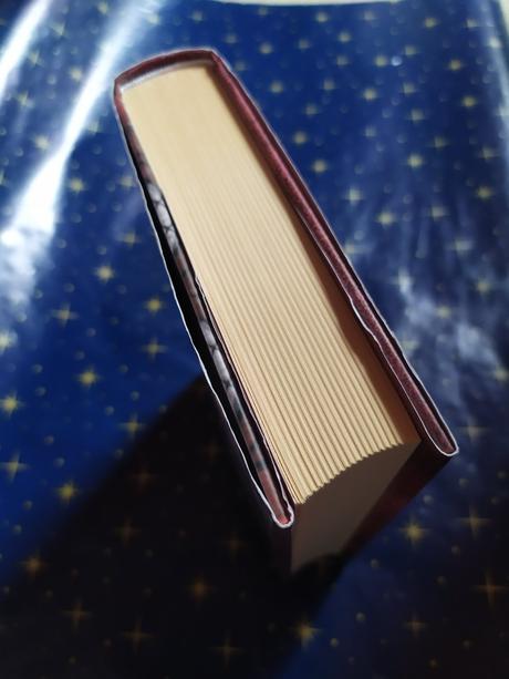 Rivalky u dvora tudorovců,