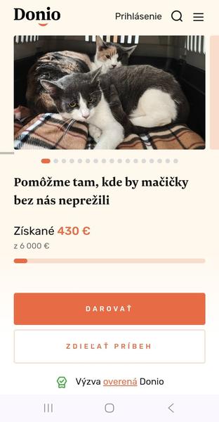 Pomôžme tam, kde by mačičky bez nás neprežili