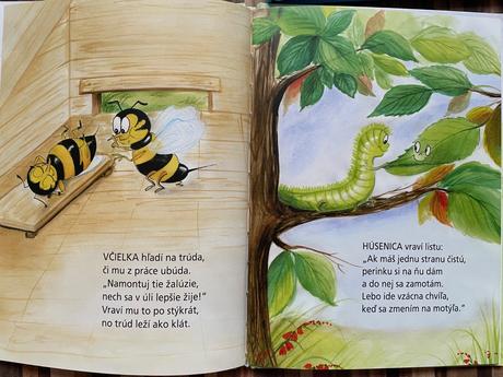 Abeceda vo veršíkoch kniha,