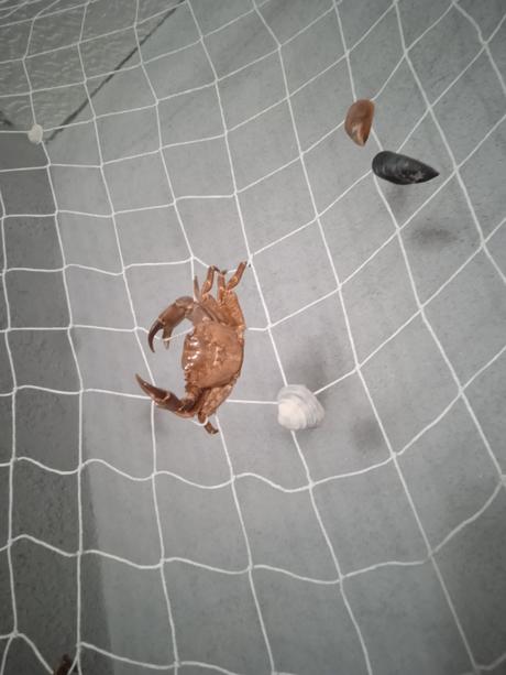 Sieť a morské príšerky,