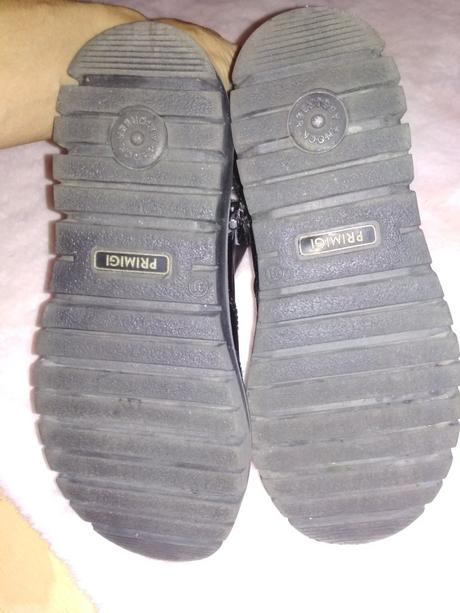 Členkové lakovky primigi, primigi,31