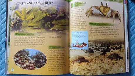 Encyclopedia of knowledge, 