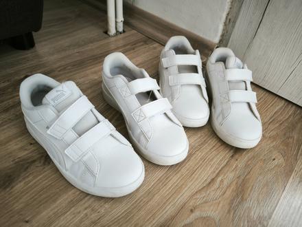 Tenisky puma, 34, 34