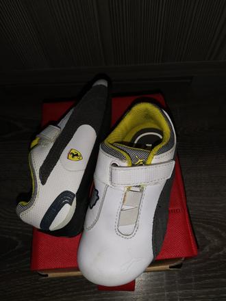 Puma ferrari, puma,23