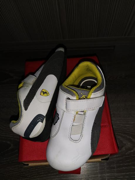 Puma ferrari, puma,23